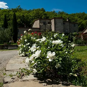 Vakantieboerderij Azienda Agricola Il Pozzo, Capolona