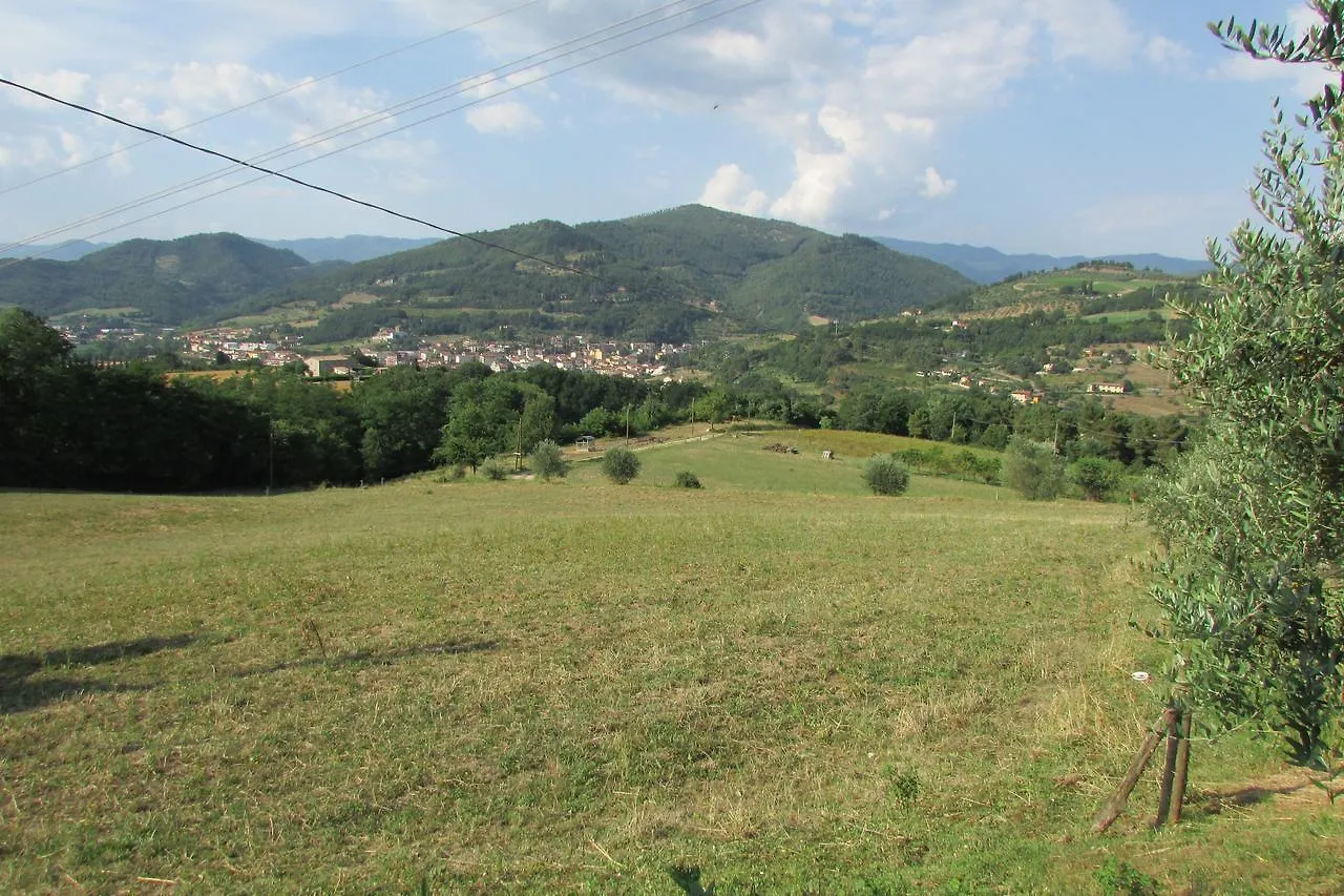 Trebbiolo Villa Dicomano Farm stay