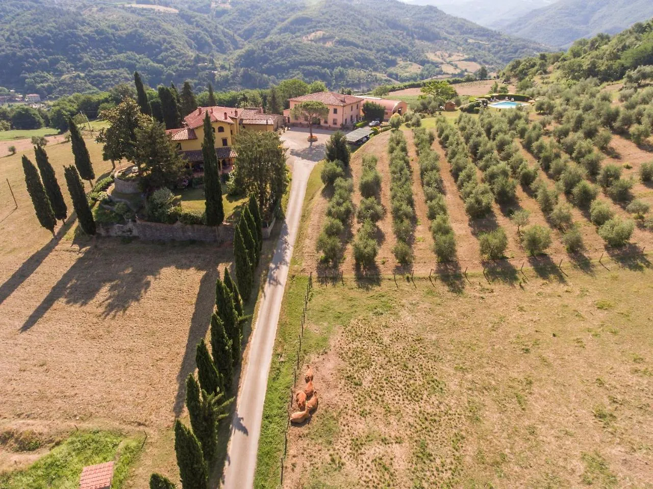 Trebbiolo location