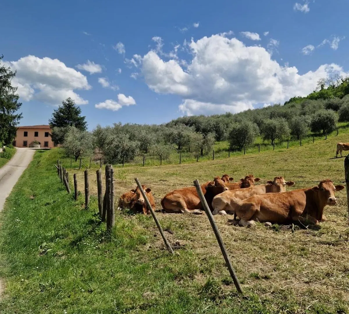 Trebbiolo Villa Dicomano
